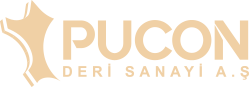pucon__logo2