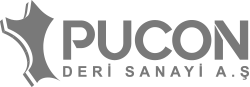 pucon__logo3